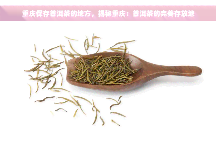 重庆保存普洱茶的地方，揭秘重庆：普洱茶的完美存放地