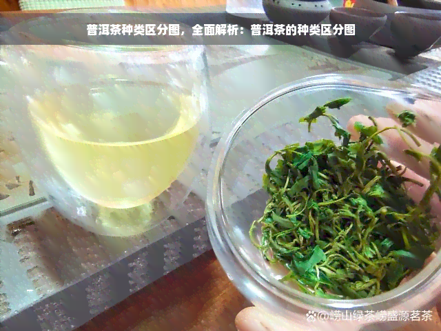 普洱茶种类区分图，全面解析：普洱茶的种类区分图