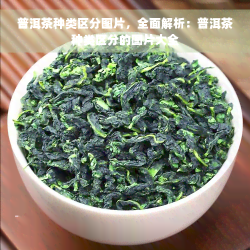 普洱茶种类区分图片，全面解析：普洱茶种类区分的图片大全