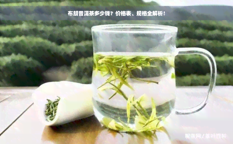 布朗普洱茶多少钱？价格表、规格全解析！