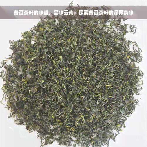 普洱茶叶的味道，品味云南：探索普洱茶叶的深厚韵味