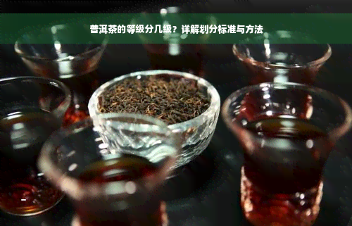 普洱茶的等级分几级？详解划分标准与方法