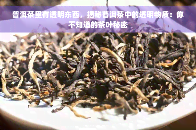 普洱茶里有透明东西，揭秘普洱茶中的透明物质：你不知道的茶叶秘密