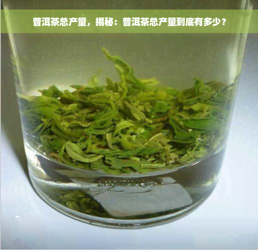 普洱茶总产量，揭秘：普洱茶总产量到底有多少？