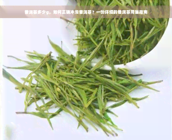 普洱茶多少g，如何正确冲泡普洱茶？一份详细的普洱茶用量指南