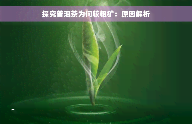 探究普洱茶为何较粗犷：原因解析