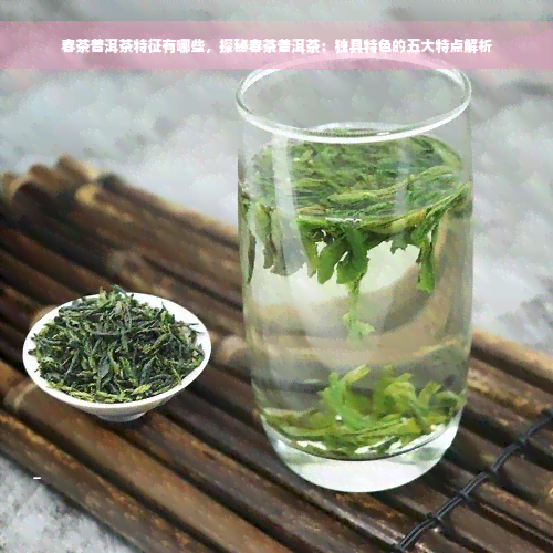 春茶普洱茶特征有哪些，探秘春茶普洱茶：独具特色的五大特点解析