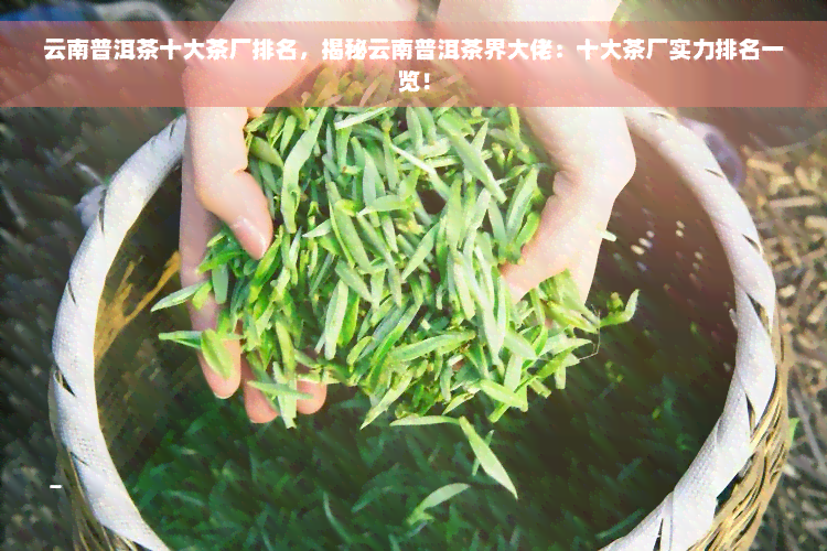 云南普洱茶十大茶厂排名，揭秘云南普洱茶界大佬：十大茶厂实力排名一览！