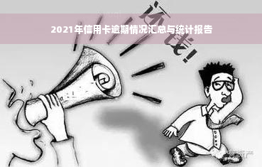 2021年信用卡逾期情况汇总与统计报告