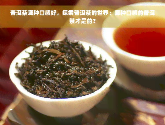 普洱茶哪种口感好，探索普洱茶的世界：哪种口感的普洱茶才是的？