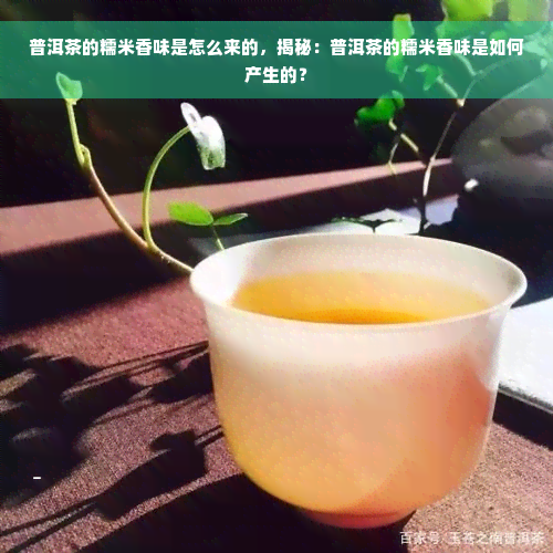 普洱茶的糯米香味是怎么来的，揭秘：普洱茶的糯米香味是如何产生的？