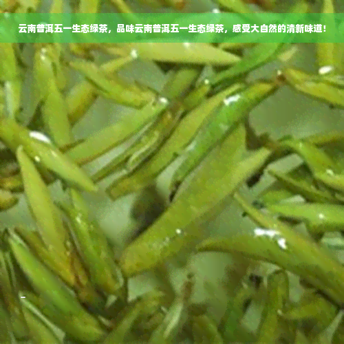 云南普洱五一生态绿茶，品味云南普洱五一生态绿茶，感受大自然的清新味道！