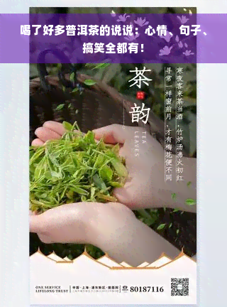 喝了好多普洱茶的说说：心情、句子、搞笑全都有！