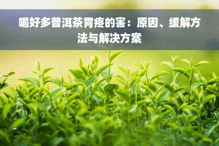 喝好多普洱茶胃疼的害：原因、缓解方法与解决方案