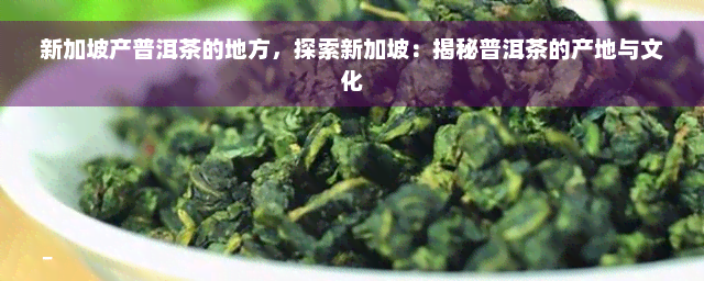 新加坡产普洱茶的地方，探索新加坡：揭秘普洱茶的产地与文化