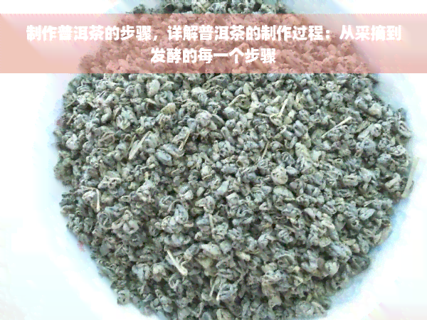 制作普洱茶的步骤，详解普洱茶的制作过程：从采摘到发酵的每一个步骤