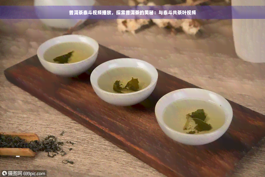 普洱茶泰斗视频播放，探索普洱茶的奥秘：与泰斗共茶叶视频