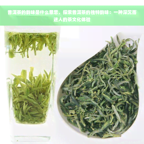 普洱茶的韵味是什么意思，探索普洱茶的独特韵味：一种深沉而迷人的茶文化体验