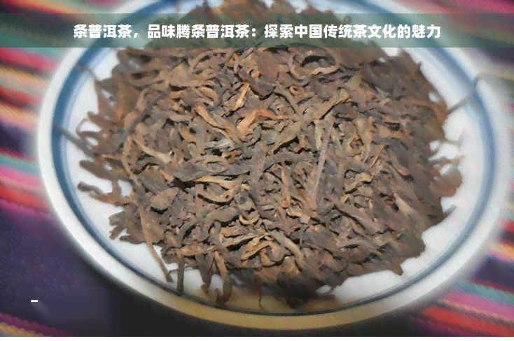 条普洱茶，品味腾条普洱茶：探索中国传统茶文化的魅力