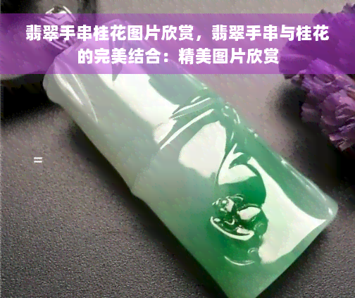 翡翠手串桂花图片欣赏，翡翠手串与桂花的完美结合：精美图片欣赏