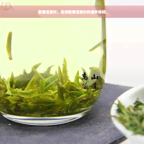 新普洱茶叶，品尝新普洱茶叶的美妙体验