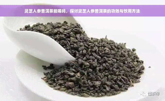 灵芝人参普洱茶能喝吗，探讨灵芝人参普洱茶的功效与饮用方法