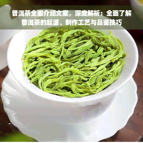 普洱茶全面介绍文案，深度解析：全面了解普洱茶的起源、制作工艺与品鉴技巧