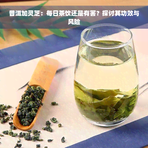 普洱加灵芝：每日茶饮还是有害？探讨其功效与风险