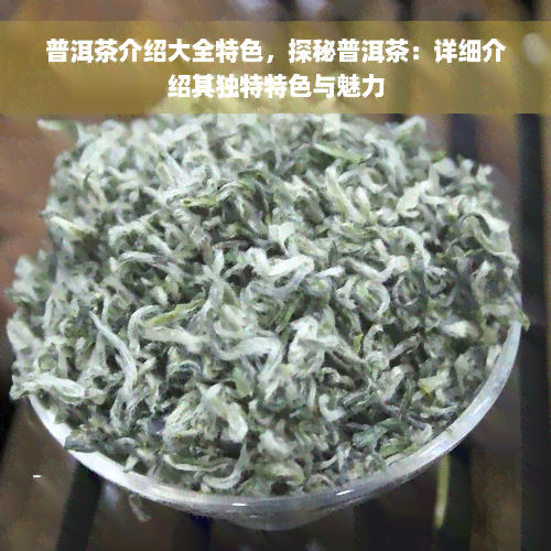 普洱茶介绍大全特色，探秘普洱茶：详细介绍其独特特色与魅力