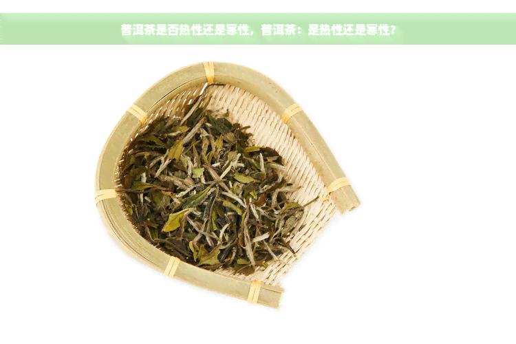 普洱茶是否热性还是寒性，普洱茶：是热性还是寒性？