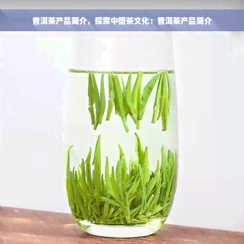 普洱茶产品简介，探索中国茶文化：普洱茶产品简介