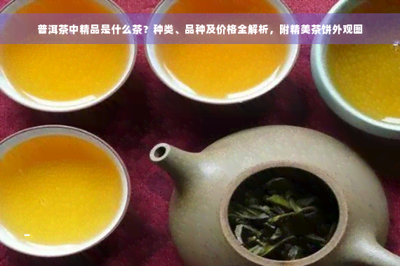 普洱茶中精品是什么茶？种类、品种及价格全解析，附精美茶饼外观图