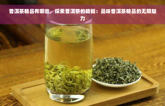 普洱茶精品有哪些，探索普洱茶的精髓：品味普洱茶精品的无限魅力