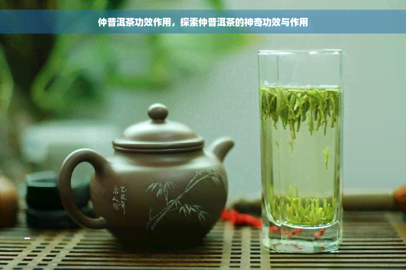 仲普洱茶功效作用，探索仲普洱茶的神奇功效与作用