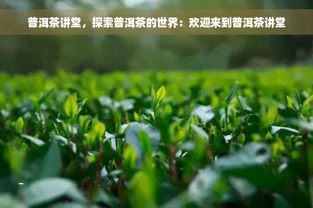 普洱茶讲堂，探索普洱茶的世界：欢迎来到普洱茶讲堂