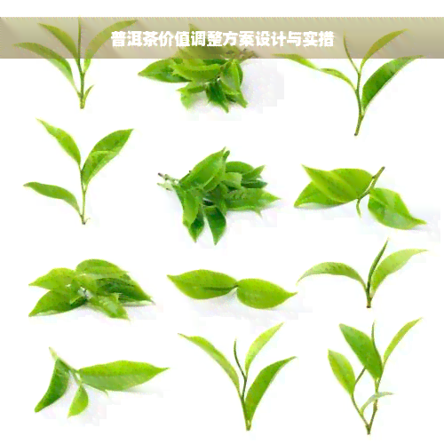 普洱茶价值调整方案设计与实措