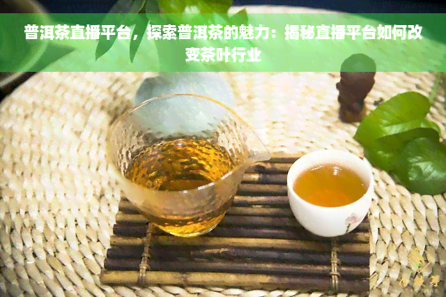 普洱茶直播平台，探索普洱茶的魅力：揭秘直播平台如何改变茶叶行业