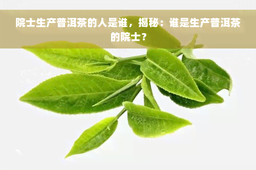 院士生产普洱茶的人是谁，揭秘：谁是生产普洱茶的院士？