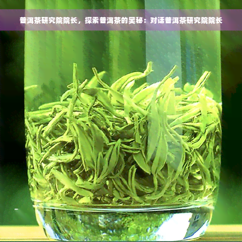 普洱茶研究院院长，探索普洱茶的奥秘：对话普洱茶研究院院长