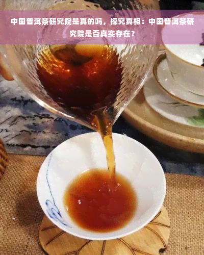 中国普洱茶研究院是真的吗，探究真相：中国普洱茶研究院是否真实存在？