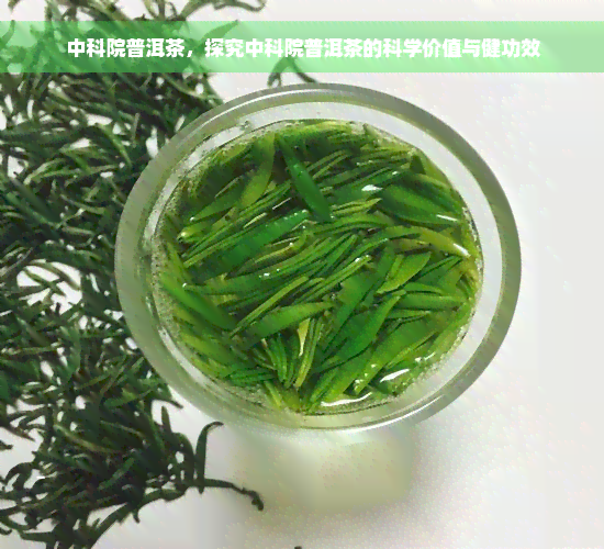 中科院普洱茶，探究中科院普洱茶的科学价值与健功效