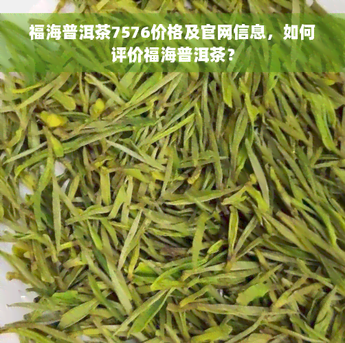 福海普洱茶7576价格及官网信息，如何评价福海普洱茶？