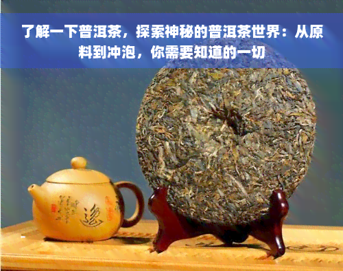 了解一下普洱茶，探索神秘的普洱茶世界：从原料到冲泡，你需要知道的一切