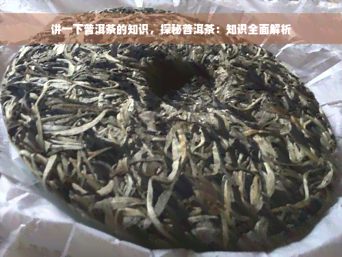 讲一下普洱茶的知识，探秘普洱茶：知识全面解析