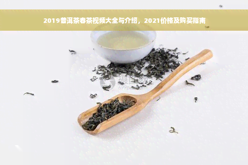 2019普洱茶春茶视频大全与介绍，2021价格及购买指南