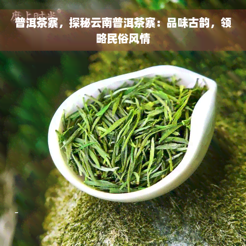 普洱茶寨，探秘云南普洱茶寨：品味古韵，领略民俗风情