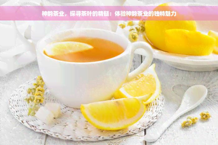 神韵茶业，探寻茶叶的精髓：体验神韵茶业的独特魅力