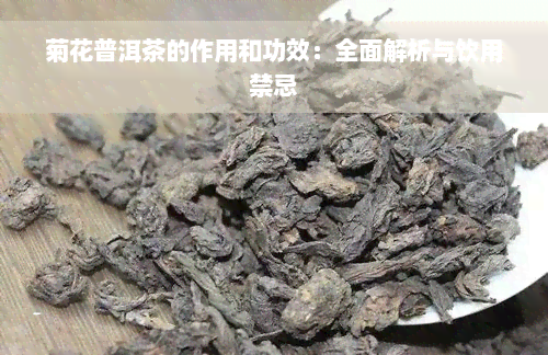 菊花普洱茶的作用和功效：全面解析与饮用禁忌