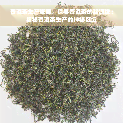 普洱茶生产哪里，探寻普洱茶的起源地：揭秘普洱茶生产的神秘区域