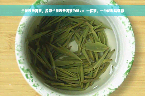 兰花香普洱茶，探寻兰花香普洱茶的魅力：一杯茶，一份优雅与沉静